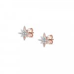 Nomination Sweetrock Silver Rose Gold & CZ Wind Rose Stud Earrings