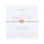 A  little "Friends for Life" BRACELET