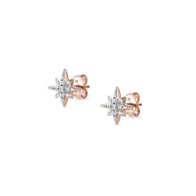 Sweetrock Silver Rose Gold & CZ Wind Rose Stud Earrings