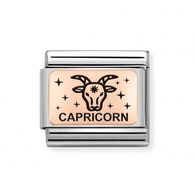 Nomination 9ct Rose Gold Libra Capricorn Charm.