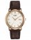 Citizen Gents Eco Drive Brown Strap Watch.