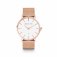 Abbott Lyon Rose Gold Chain Kensington 40 Watch