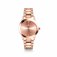 Unisex Abbott Lyon Rose Audenza 40 Watch B172