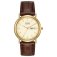 Citizen Gents Eco Drive Strap Watch.