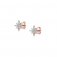 Nomination Sweetrock Silver Rose Gold & CZ Wind Rose Stud Earrings