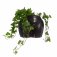 Large Body Planter Black