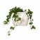 Large Body Planter White